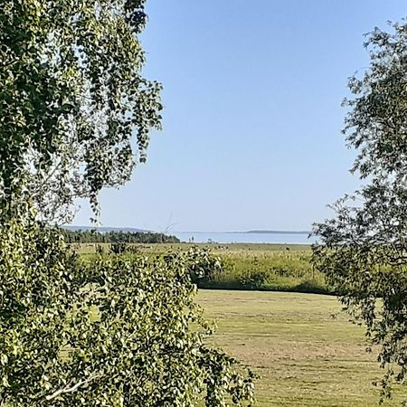Tuule Villa Kuressaare Dış mekan fotoğraf
