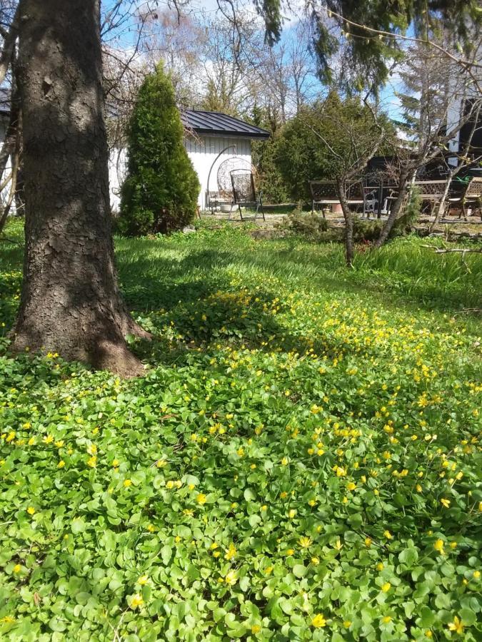 Tuule Villa Kuressaare Dış mekan fotoğraf